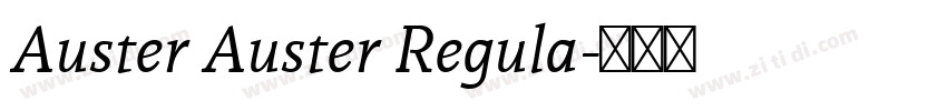 Auster Auster Regula字体转换